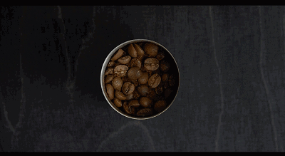 2.gif 2.gif